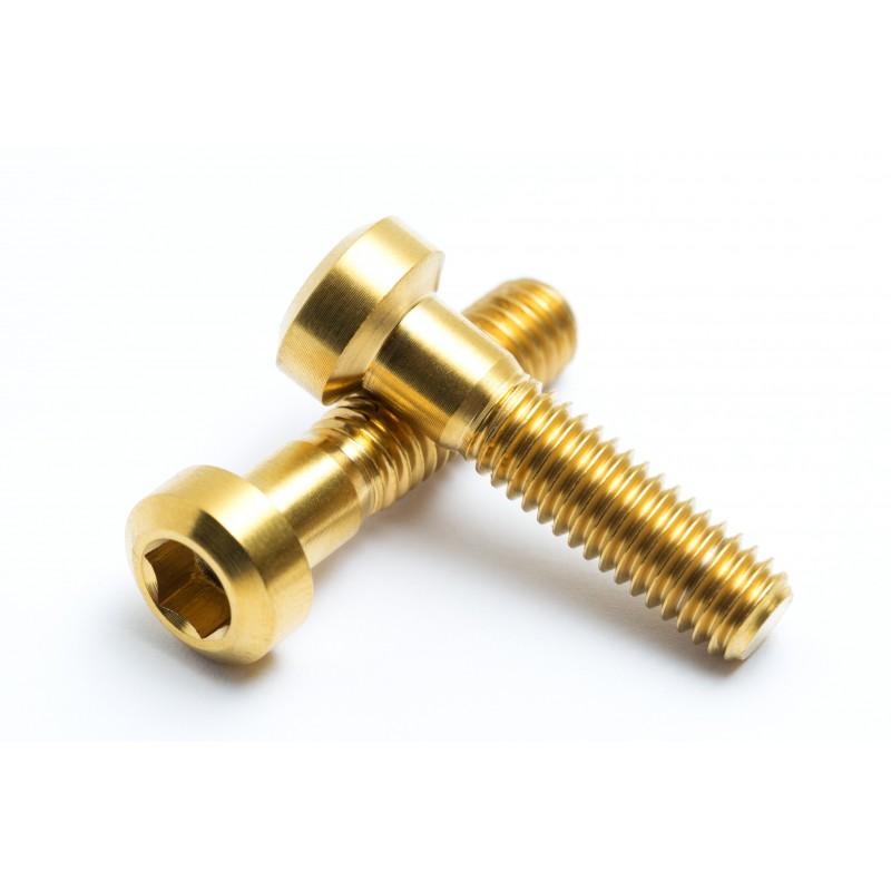RockShox Reverb: 2 screws in titanium 