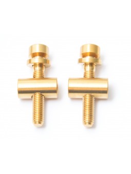 Thomson: 2 screws/bolts in titanium