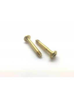 MAGURA MT: 2 Brakeline screws